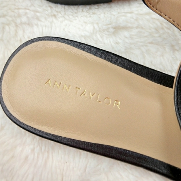Ann Taylor Pointed Toe Slingback Flat (Black) - Picture 3 of 4